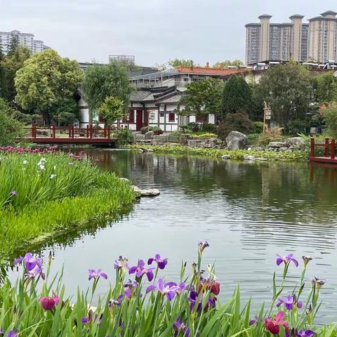 拜将台里的风景