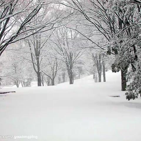 雨雪天气  安全防护——石楼中心校致全体家长一封信