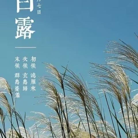 白露至，仲秋始——荣华小学“名校+”二十四节气融合课程系列之白露