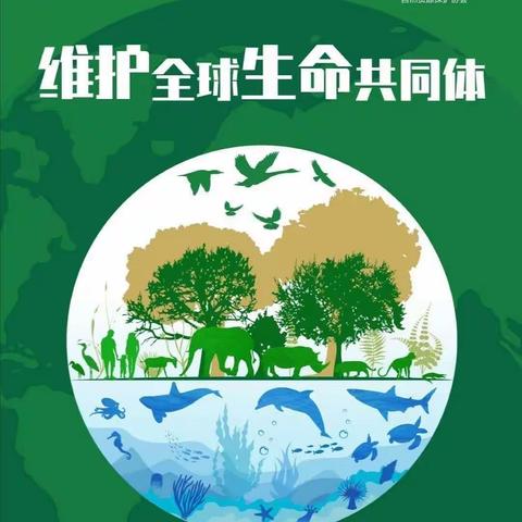 库尔勒市实验中学梨香校区--保护野生动物我们在行动