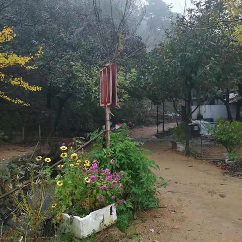 2017.10.8假期最后一天 阴雨中环游泰山