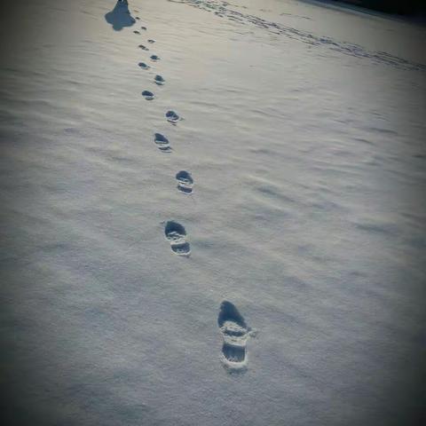 静月潭踩雪