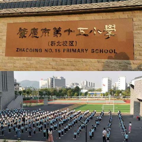 学其道，悟其理，思己行——云浮市中小学数学骨干教师跟岗培训（五）