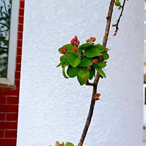 充电赋能，静待花开