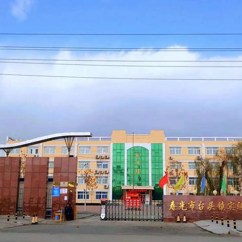 寿光市台头镇实验小学:举行“教育从“心”开始，我们一路相随”家庭教育与心理健康教育教师培训侧记