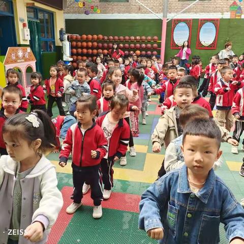 东关小学幼儿园企鹅班一周精彩瞬间