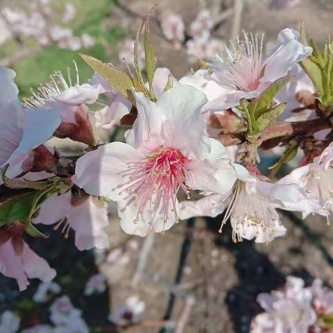 小五班陈俊楷的成长点滴