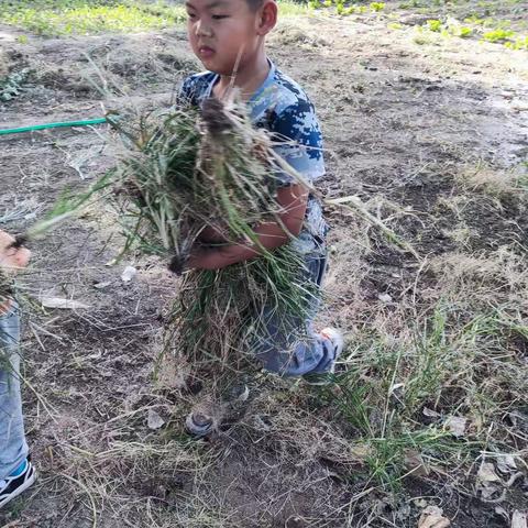 群力小学一一班“走进劳动实践基地，体验劳动快乐！”