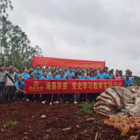 海南海垦农资有限责任公司开展党史学习教育义务植树主题党日活动