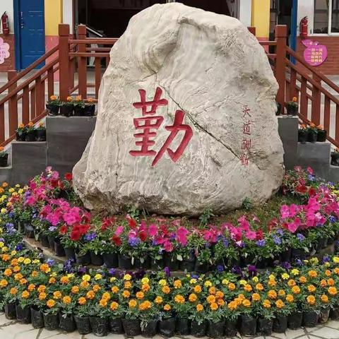 新教育   新养成——养成教育联盟第133次活动洛龙五小现场会