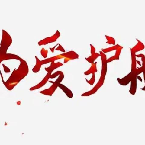 为爱护航——记玉州区城南实验小学校家委会护学试行工作