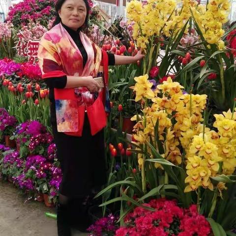 文林华姐、璇姐、林姐 三姐春季赏花🌸游剪影 〈第一集〉