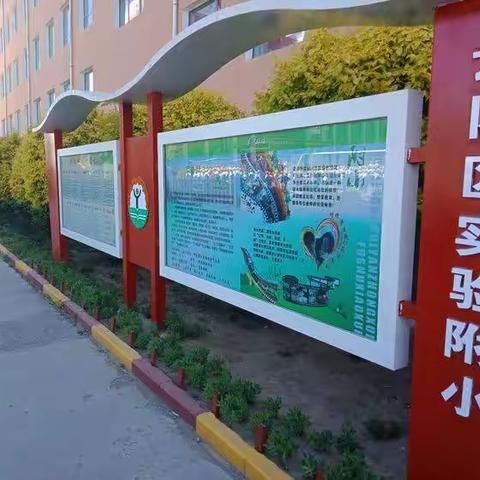 云冈区实验中学附属小学一年级新生开始招生啦！