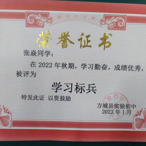 2022年秋期期末九年级学习标兵