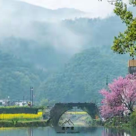 当风景遇上诗词，风更美景更丽