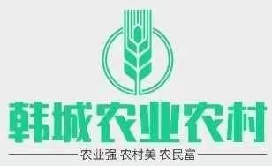 韩城市农业农村局11月1日工作动态