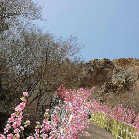 山谷寻春