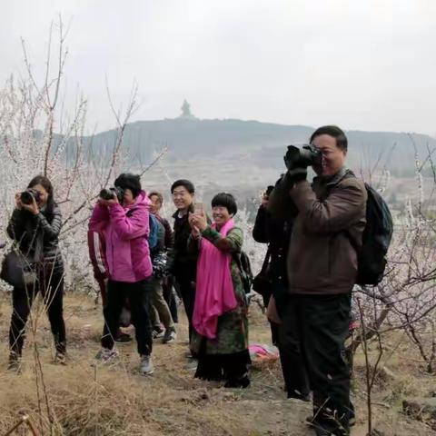 国际摄影河南商丘摄影旅游俱乐部新年茶话会花絮