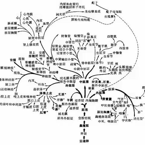 关于免疫组化的那些事儿