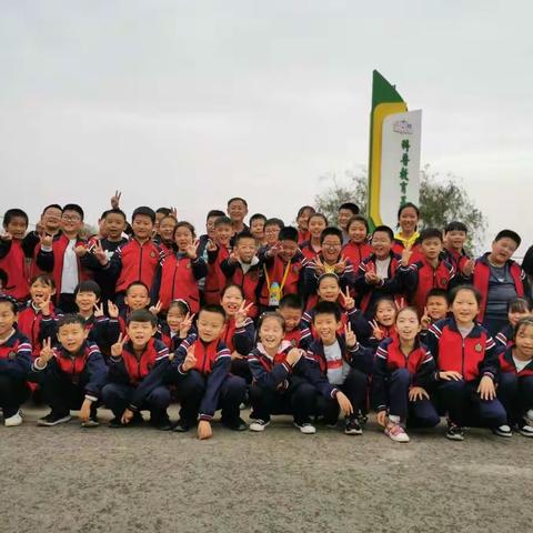 在希望的田野上走进泰升农场