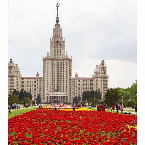 莫斯科大学的那片花海