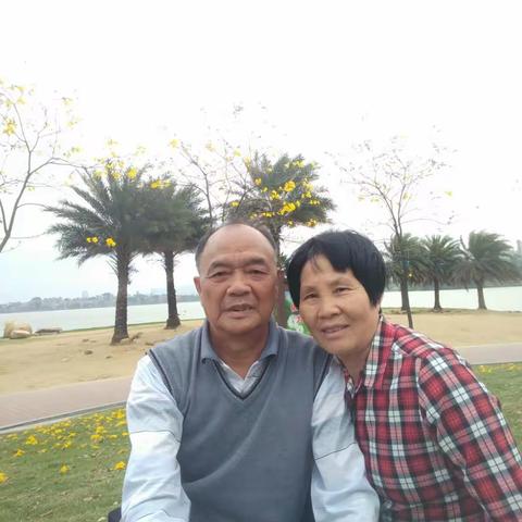 日中无事共赏花