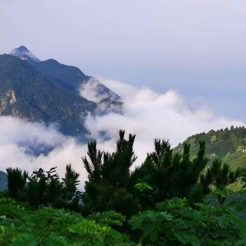 如何快速登录电脑版“腾讯会议”