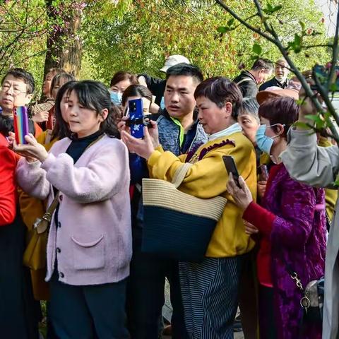 一片“彬”心在玉壶                          ——杨彬火老师印象