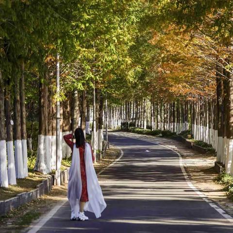 秋意浓浓世博园