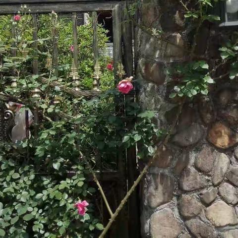 昨天、今天——704班：汪慧予