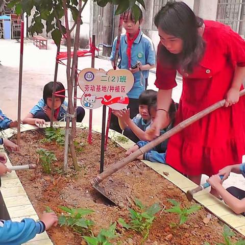 走进田园，亲身体验，感悟生活—太平镇高平小学开展劳动实践体验活动