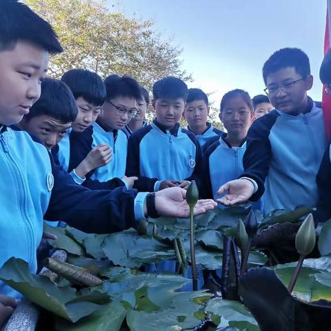 青春少年与秋天的邂逅          —临沂市正直实验学校“职业初体验”研学营记录