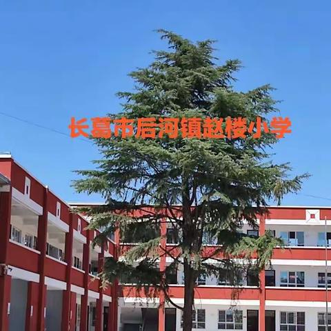 用心准备，“净”待相逢——赵楼小学新学期开学准备工作