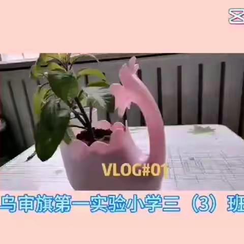 美好明天     共守护