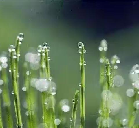 四子王旗乌兰花镇第三幼儿园“强国复兴有我、坚定理想信念、赓续红色血脉”清明节主题活动