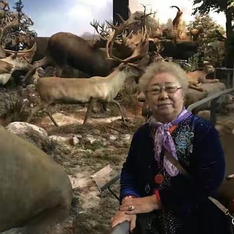 上海科技馆