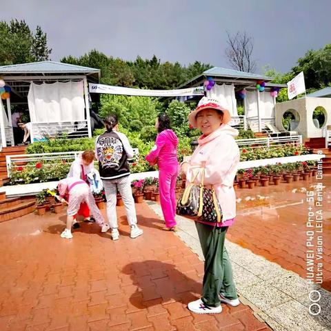 海螺仙女的美篇