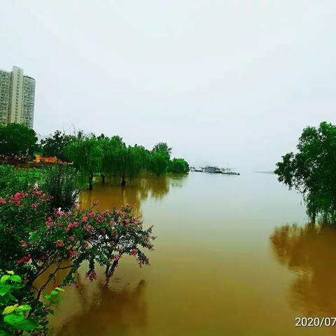 雨愁