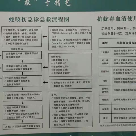 湘雅附一蛇咬伤急救宣传资料