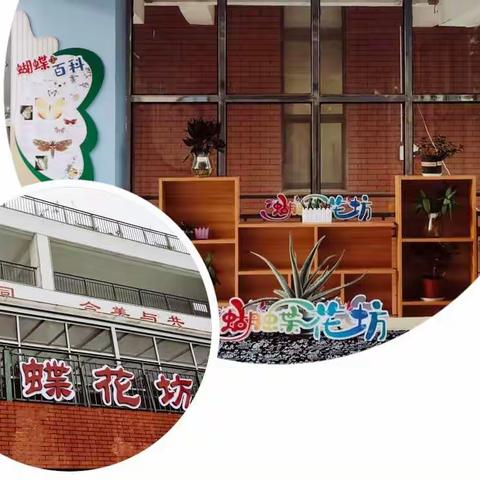 【和合四十·和富劳动】蝴蝶自然笔记之劳动与美同在