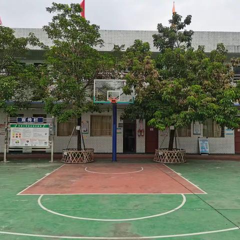 【潭西镇长安小学】关于新冠肺炎疫情防控的一封信