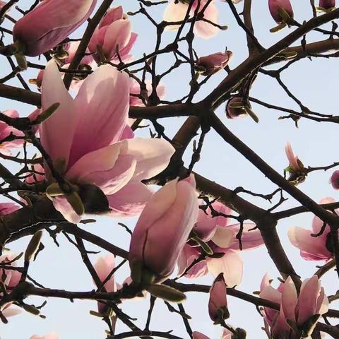 五育并举，“疫”起行动