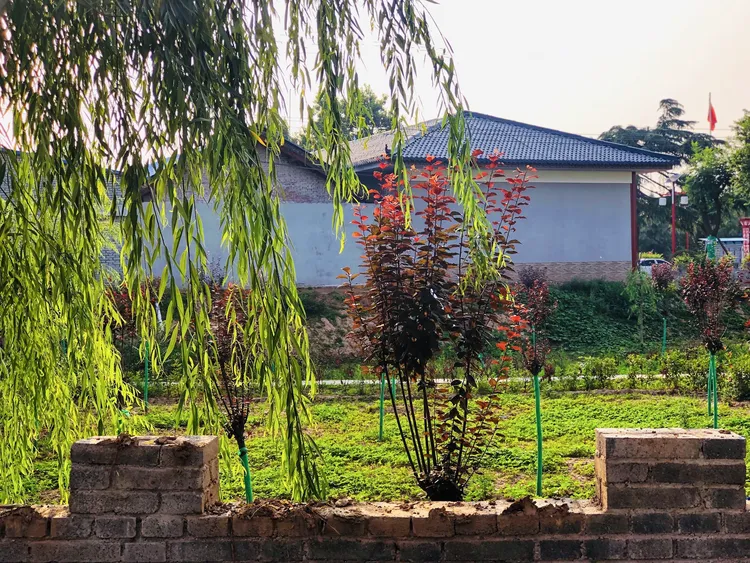 兴平板桥有个名人,你知道吗?