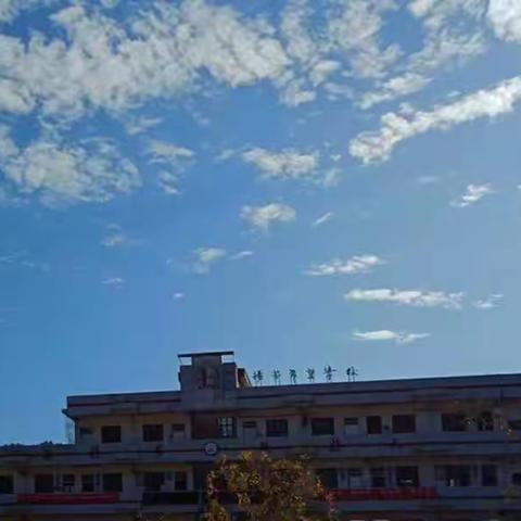 读书点亮心灵，书香润泽人生——扬芬中心小学大阅读之手抄报活动