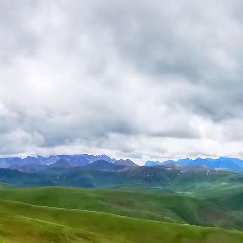 岁月深处一场生命的孤旅