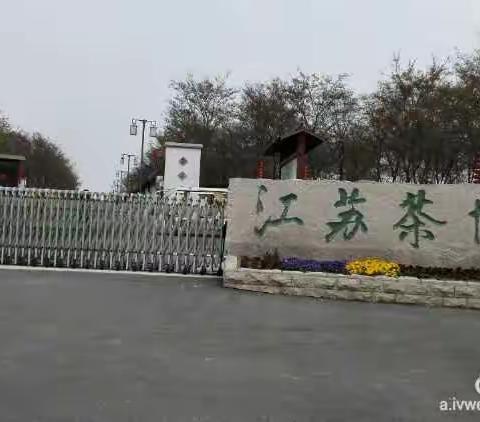 走进江苏茶博园