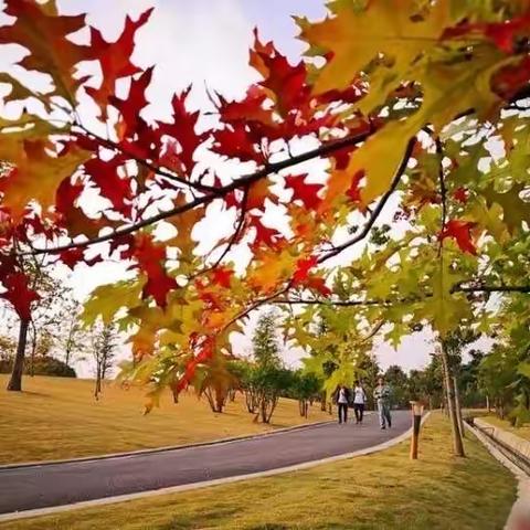 雨露幼儿园芽芽四班主题探索课程——虫虫你好