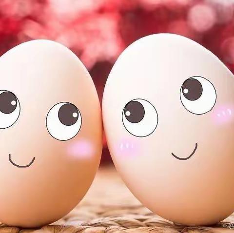 “蛋宝宝的秘密”雨露国际幼儿园芽芽四班主题探究活动