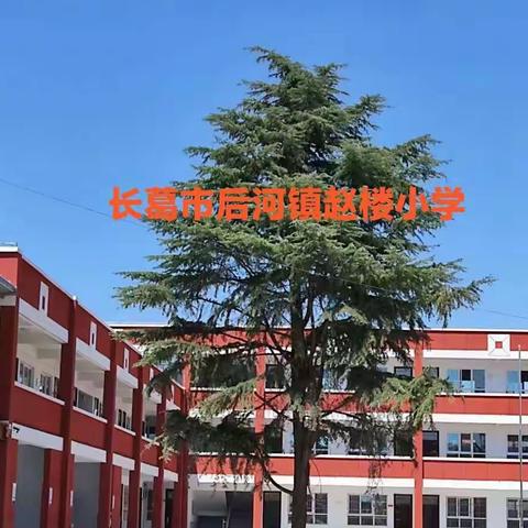 疫情当下守初心 线上教学展风采——赵楼小学语文组网课教学纪实