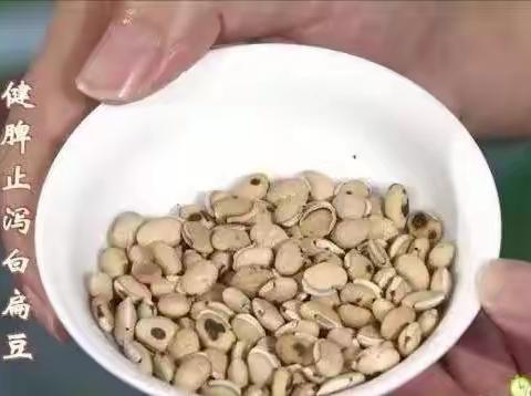 初夏第一豆——白扁豆的食疗例举一二（B篇）